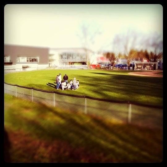 Little Mountain Baseball