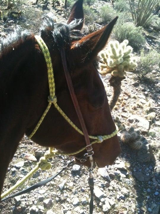 MC College - Head Office