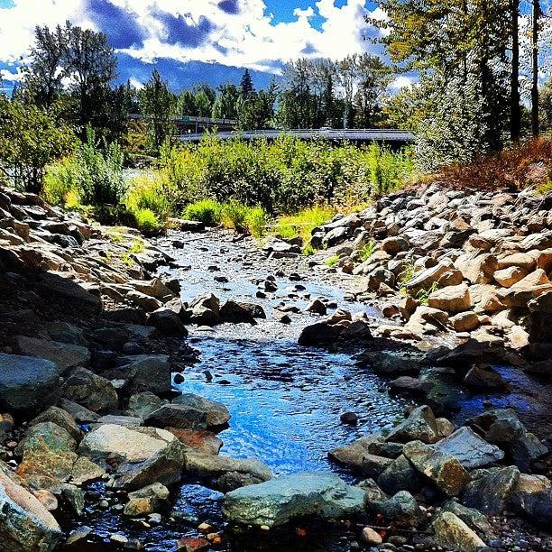 McMillan Creek Fishing Park