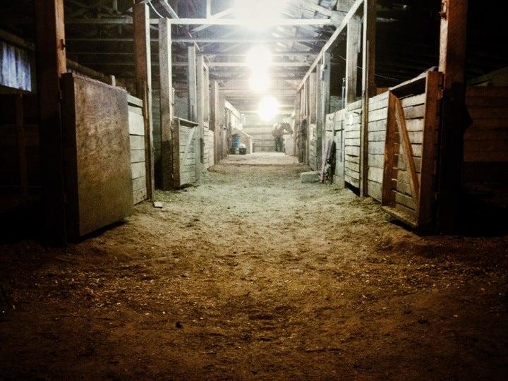 Churchill Chimes Equestrian Centre