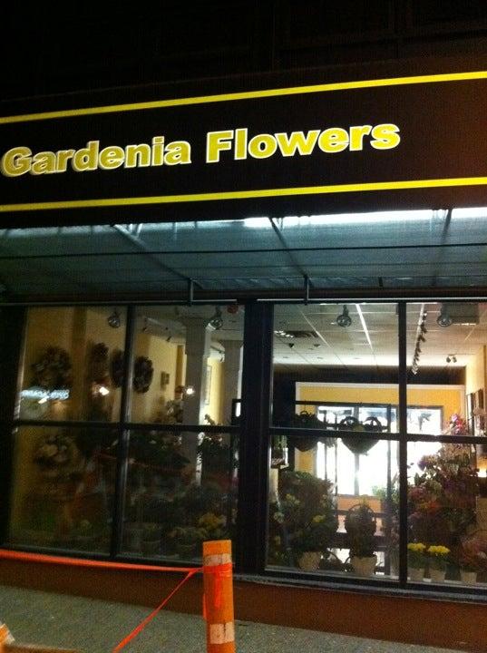 Vancouver Gardenia Flowers