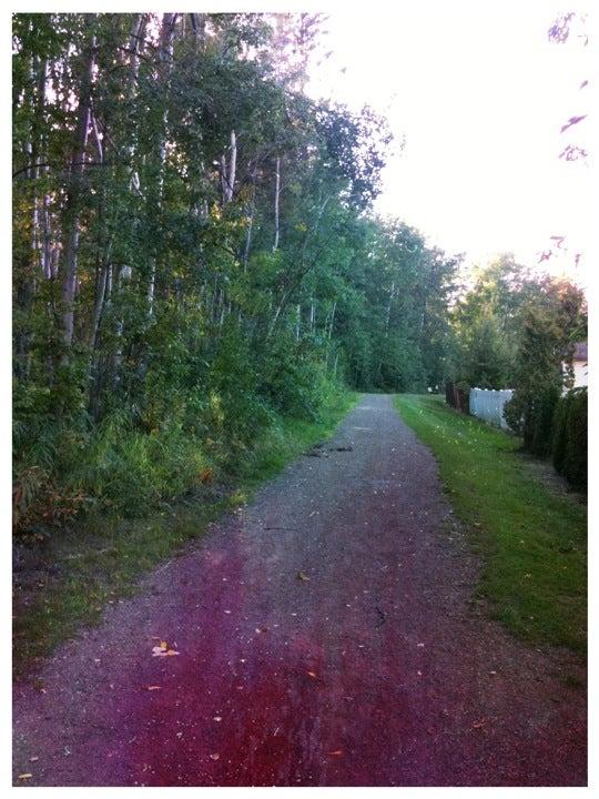 Sophie's Loop & Depository