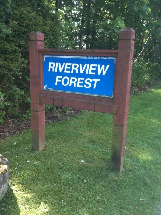 Riverview Forest