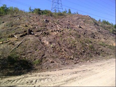 Cedar Crest Trout Farms