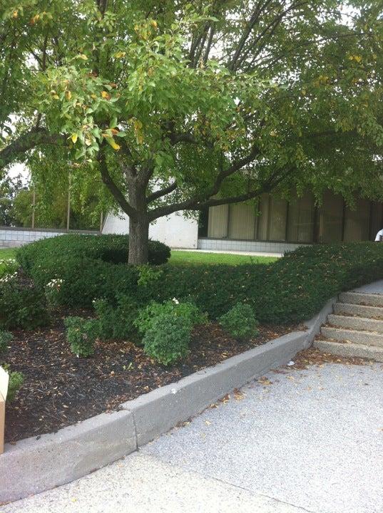 Saza Accounting Services