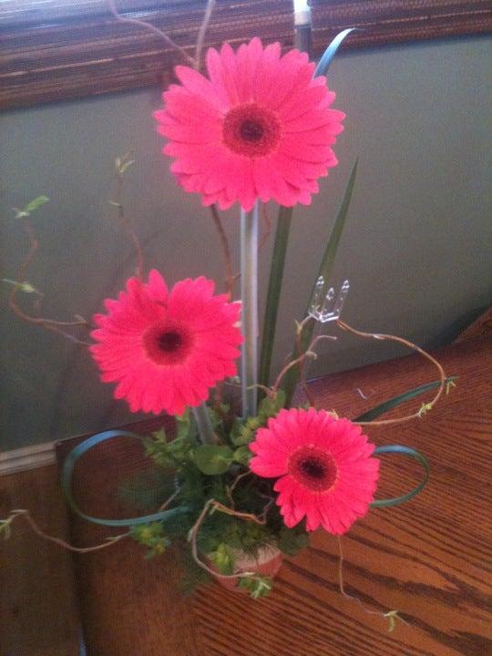 Daisy-A-Day