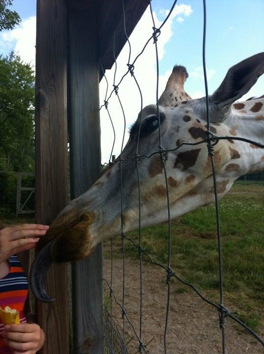 Elmvale Jungle Zoo