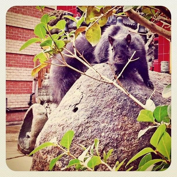 Fu Sien Tong Buddhist Temple