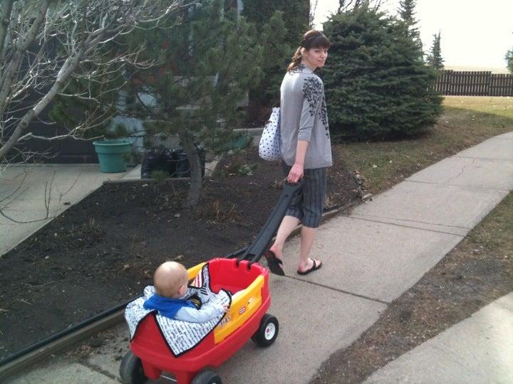 Lorelei Beaumaris Community League