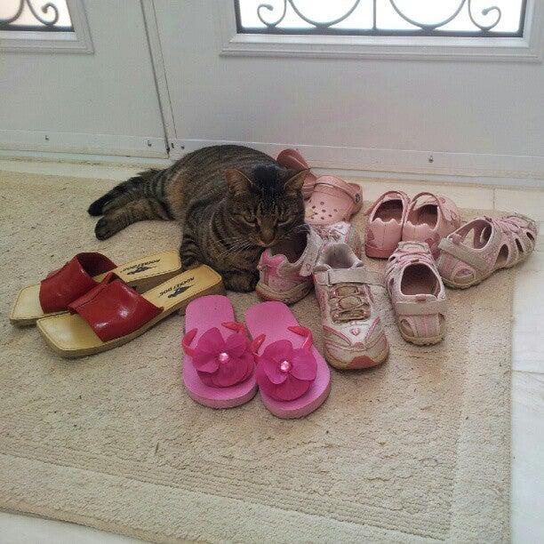 Woodland Artists Art School