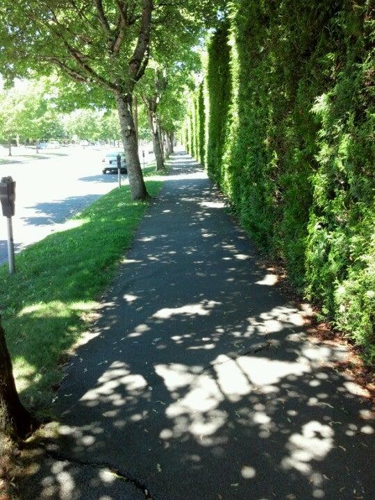 UBC Track