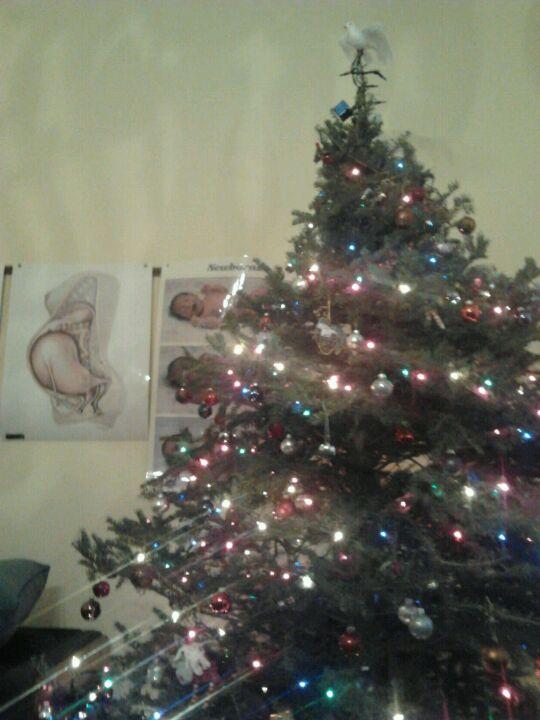 Maison de Naissance Côte-des-Neiges