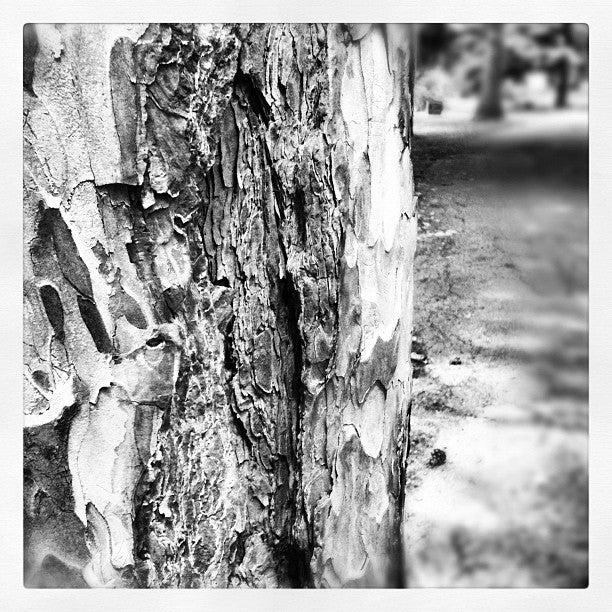 Marymount Cemetery