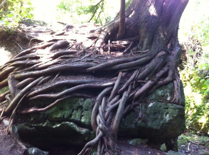 Bruce's Caves Conservation Area