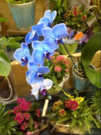 Food Basics Pharmacy