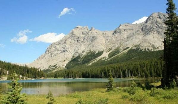 Elbow Lake Hiking Trail