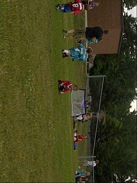 Wellesley Public School