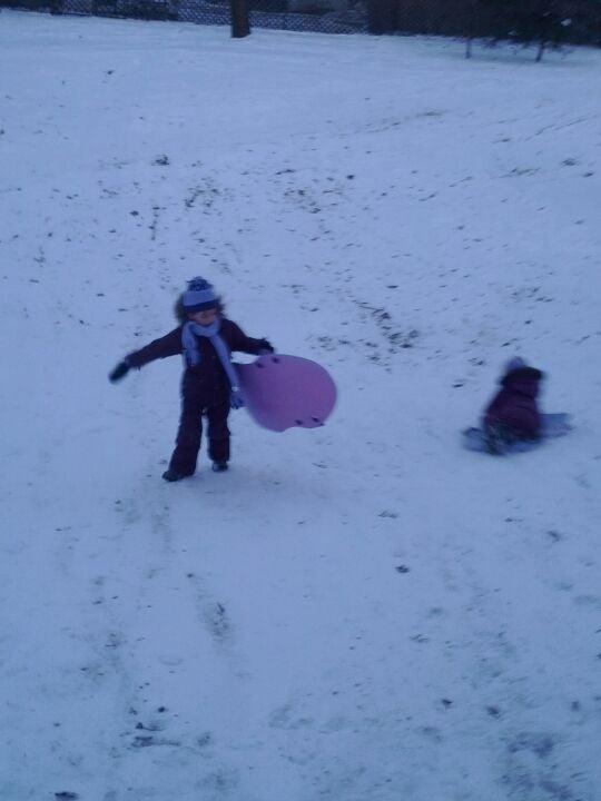 Cassels Avenue Playground