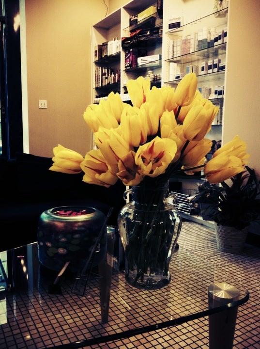 Pink Lime Salon & Spa