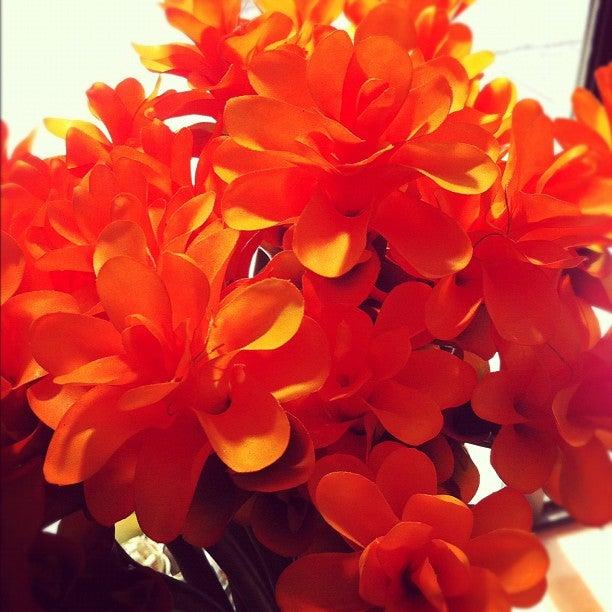 Fleuriste Notre-Dame De Grace