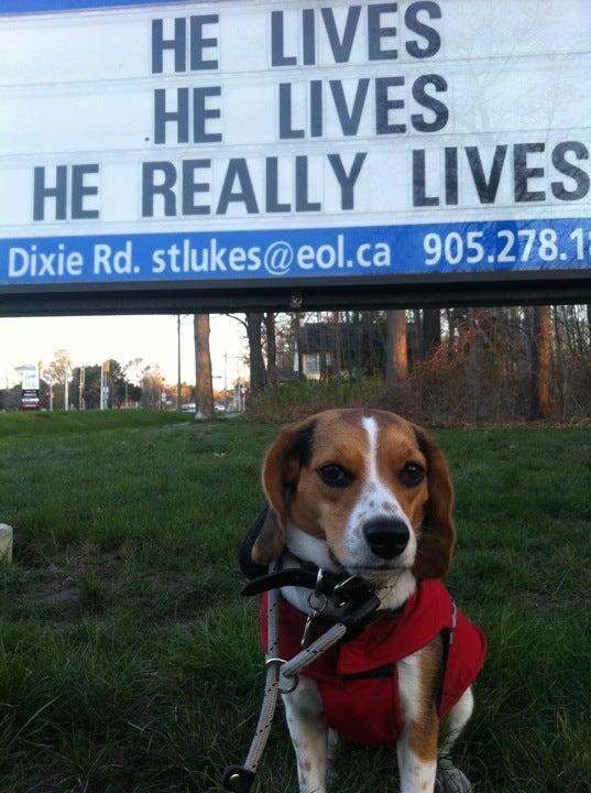 Church of St Luke Anglican