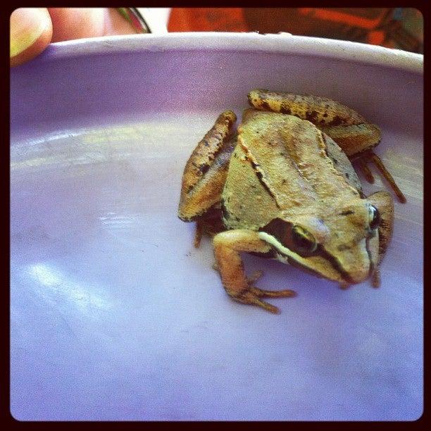 St Roch De L'achigan