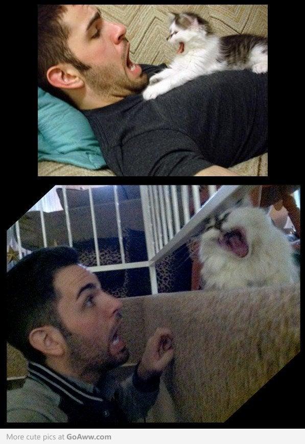 Norton Scientific Collection