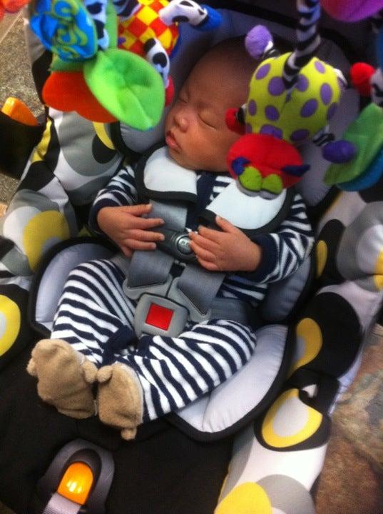 Tower Cleaners - Royal Oak