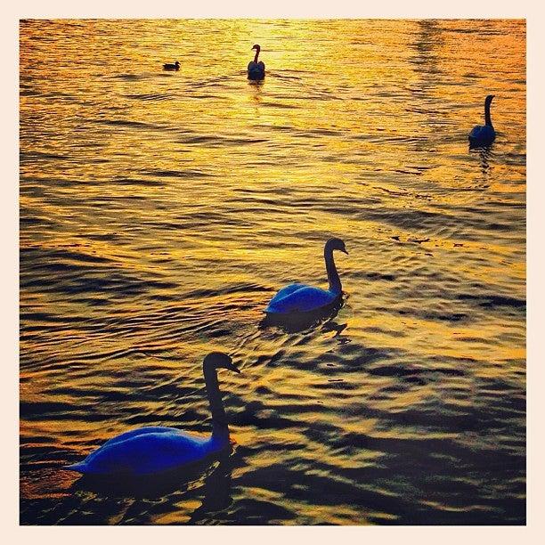 Snug Harbour Seafood