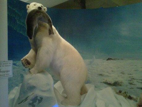 Ontario Federation of Anglers & Hunters