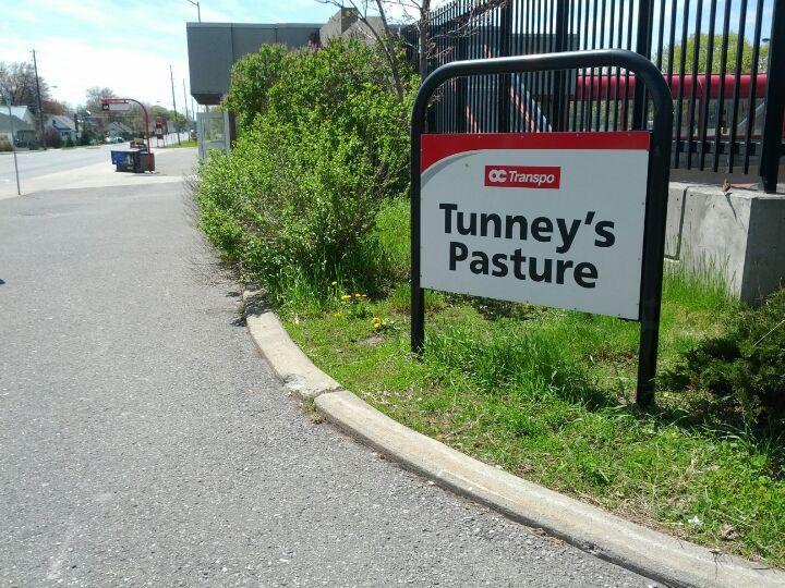 O-Train-Tunney's Pasture