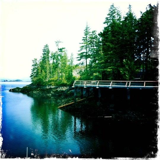 Telegraph Cove Marina