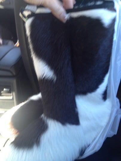 Classic Sheepskin Tannery