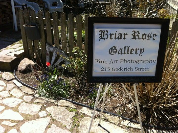 Briar Rose Gallery