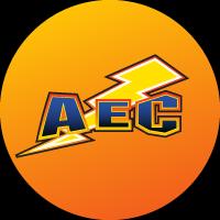 Anderson Electric
