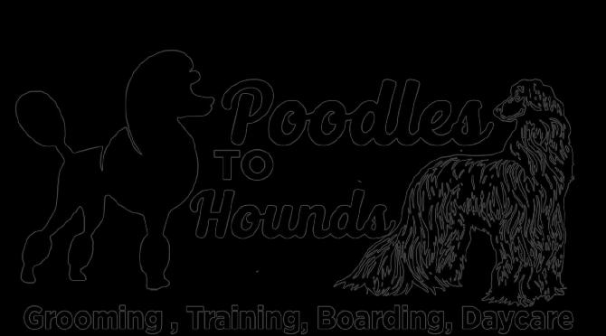 Poodles to Hounds