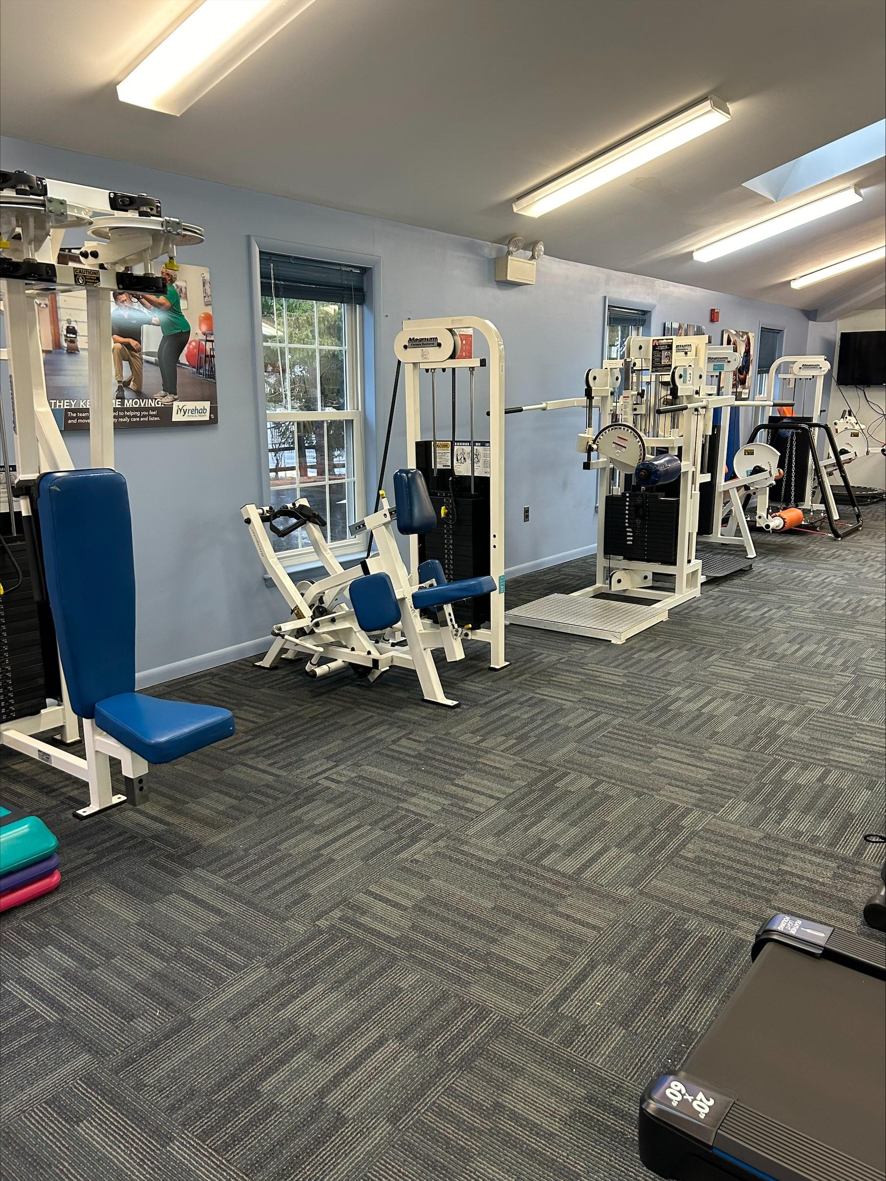 The Physical Therapy & Wellness Institute