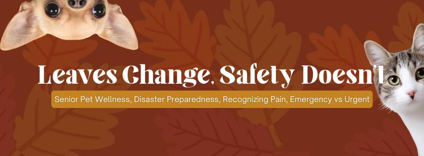 Companions Animal Hospital