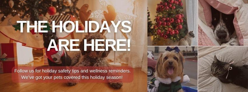 Companions Animal Hospital