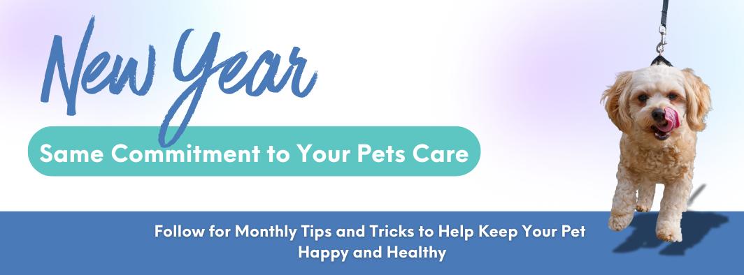 Companions Animal Hospital