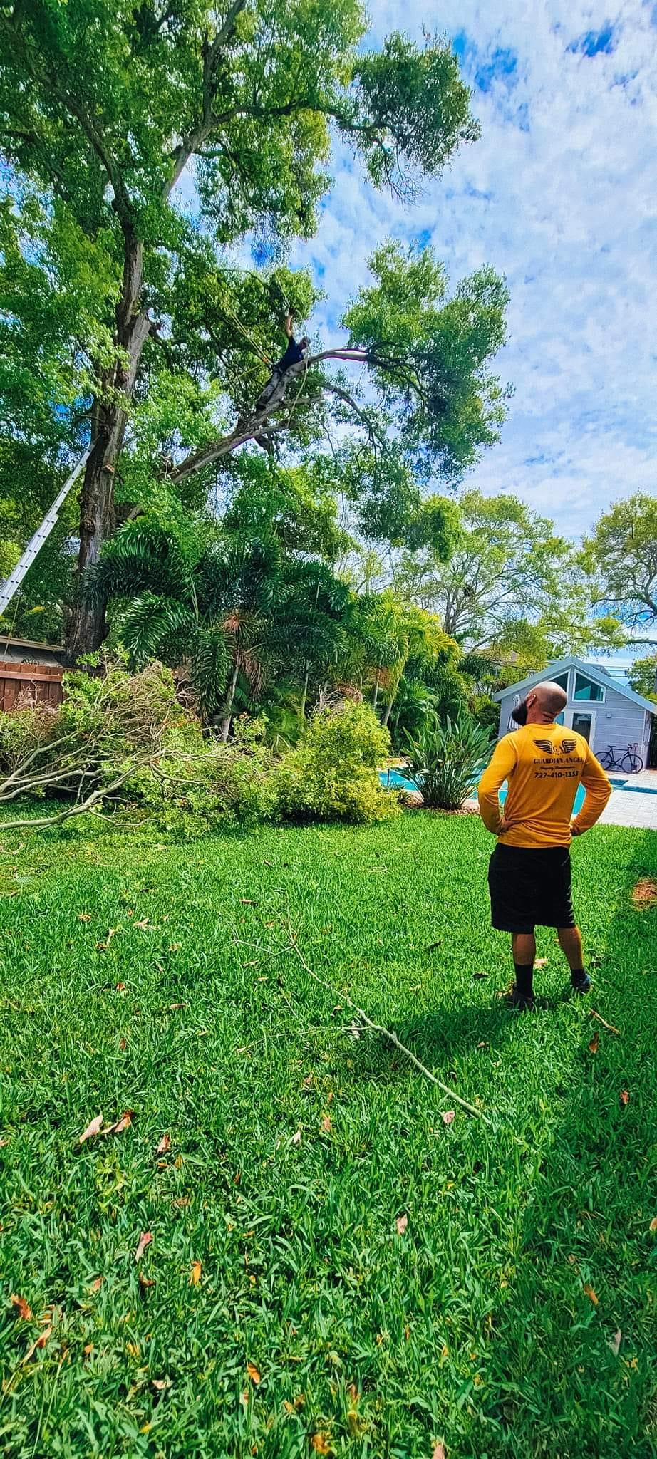 Guardian Angel Property Maintenance