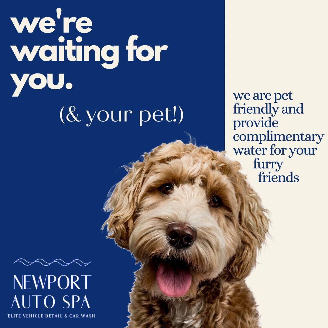 Newport Auto Spa and Chevron