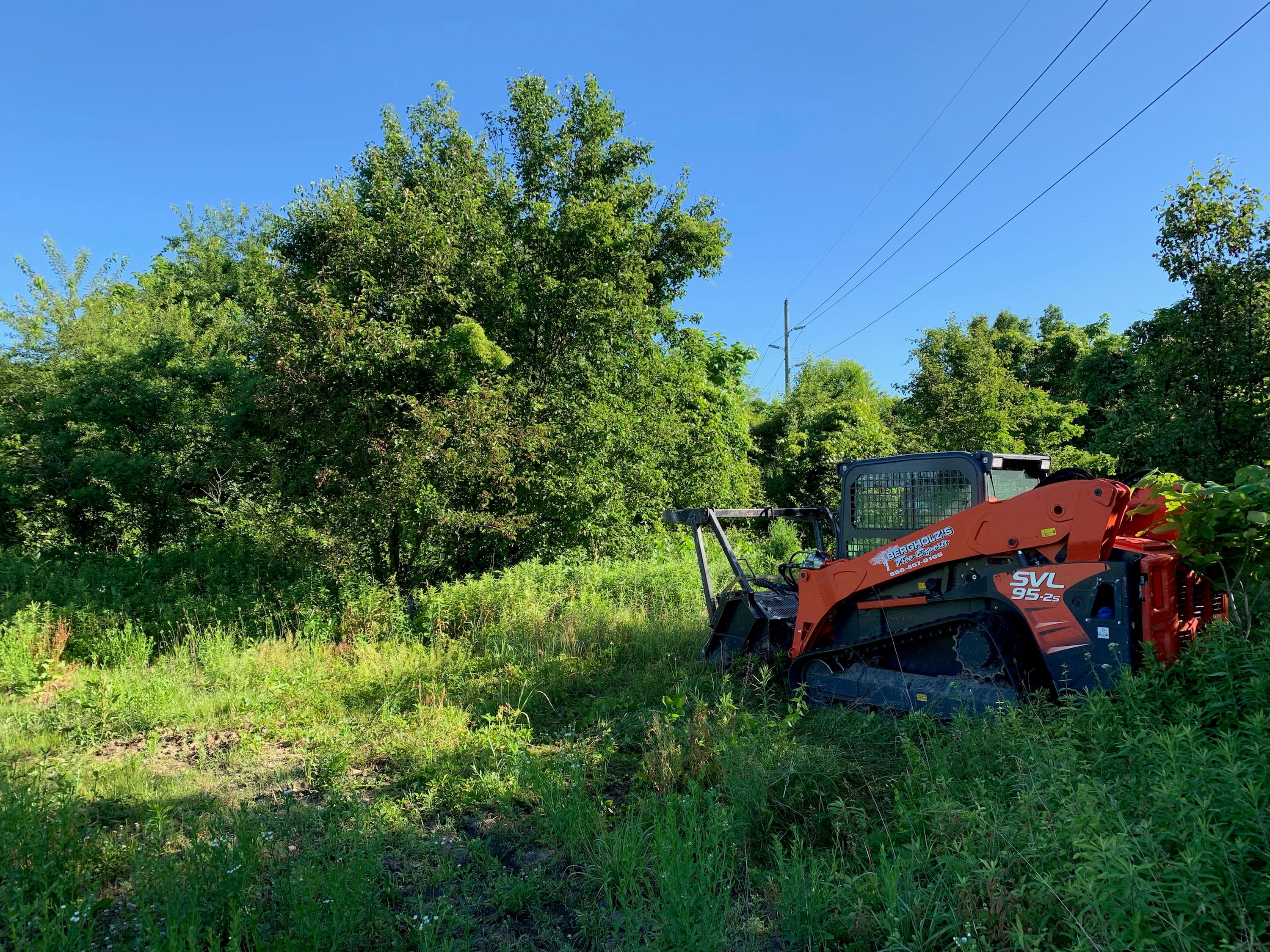 Bergholz's Tree Experts