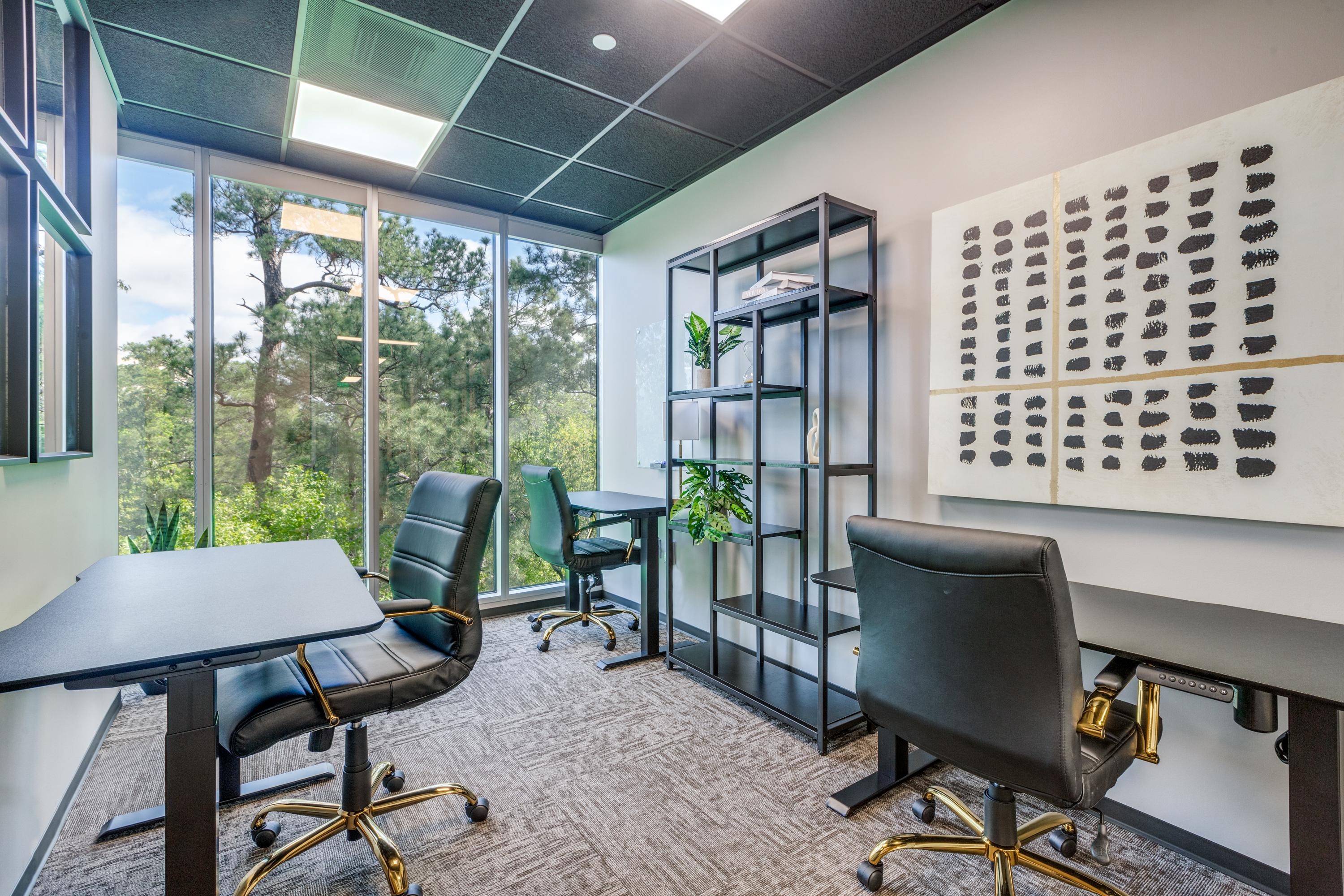 Lucid Private Offices-the Woodlands