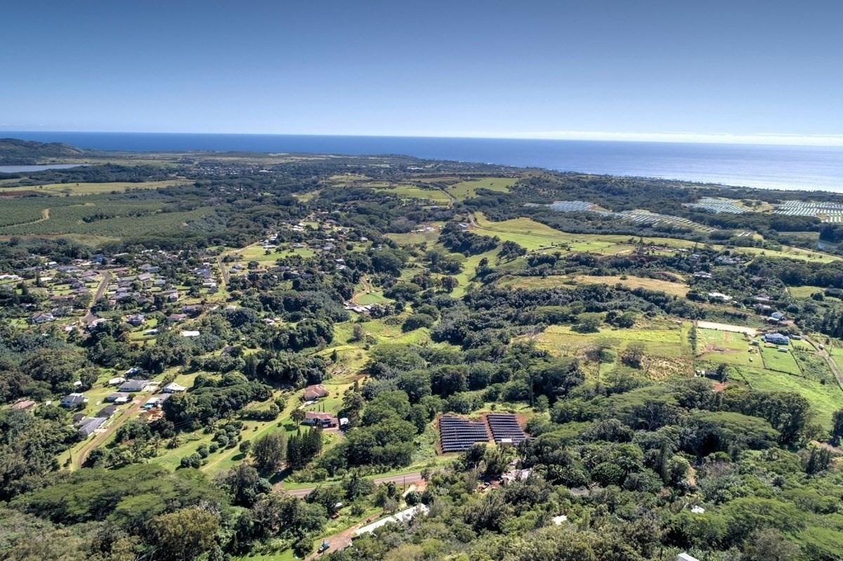 Shannon French, Realtor