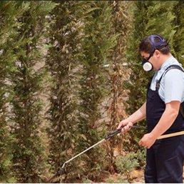 South Bay Termite Control