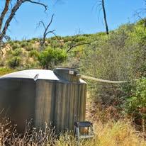 Jenn Perez Realtor - Pivniska Real Estate Group