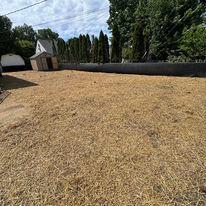 Arch Landscape & Snow Removal LLC
