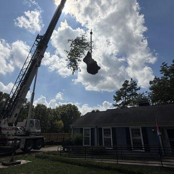 Oak City Tree Services LLC