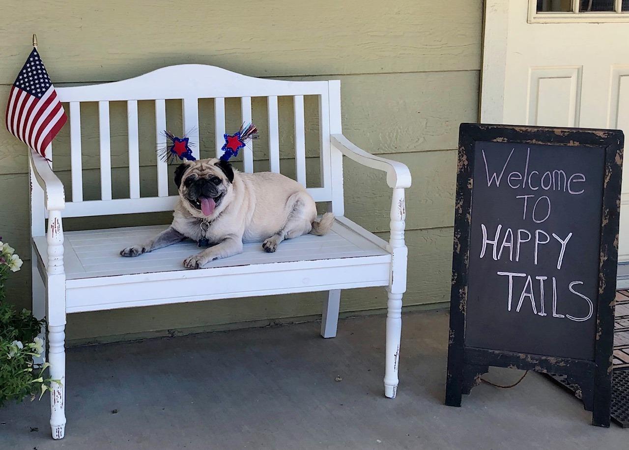 Happy Tails Pet Resort